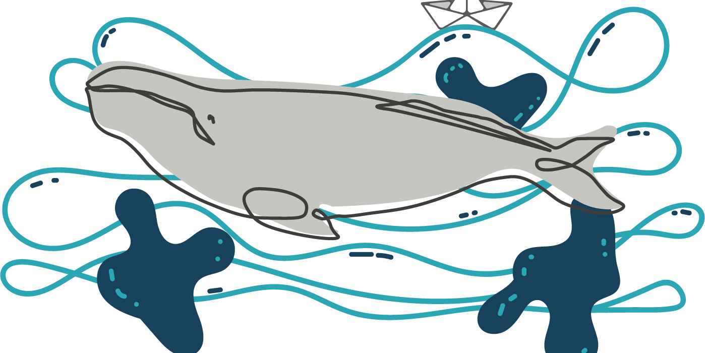 illustration baleine grise